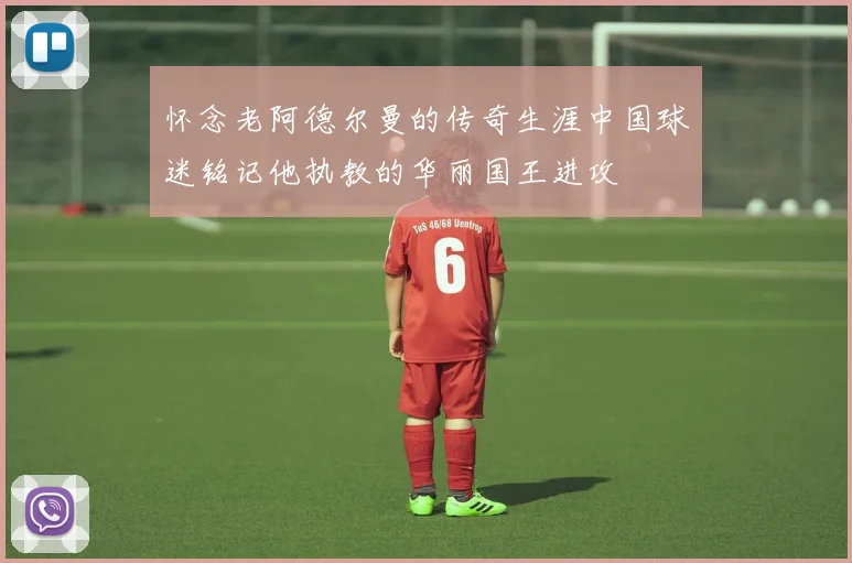 怀念老阿德尔曼的传奇生涯中国球迷铭记他执教的华丽国王进攻