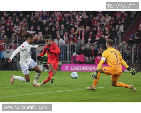 德天空报道拜仁决定不买断杰克逊计划明夏寻找凯恩替补球员